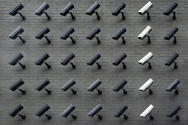 Computer Vision AI and Custom Model Training